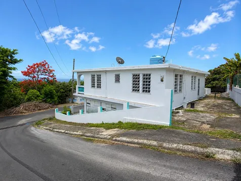461 Comm. Mariani Bo. Emajagua Maunabo PR 00707