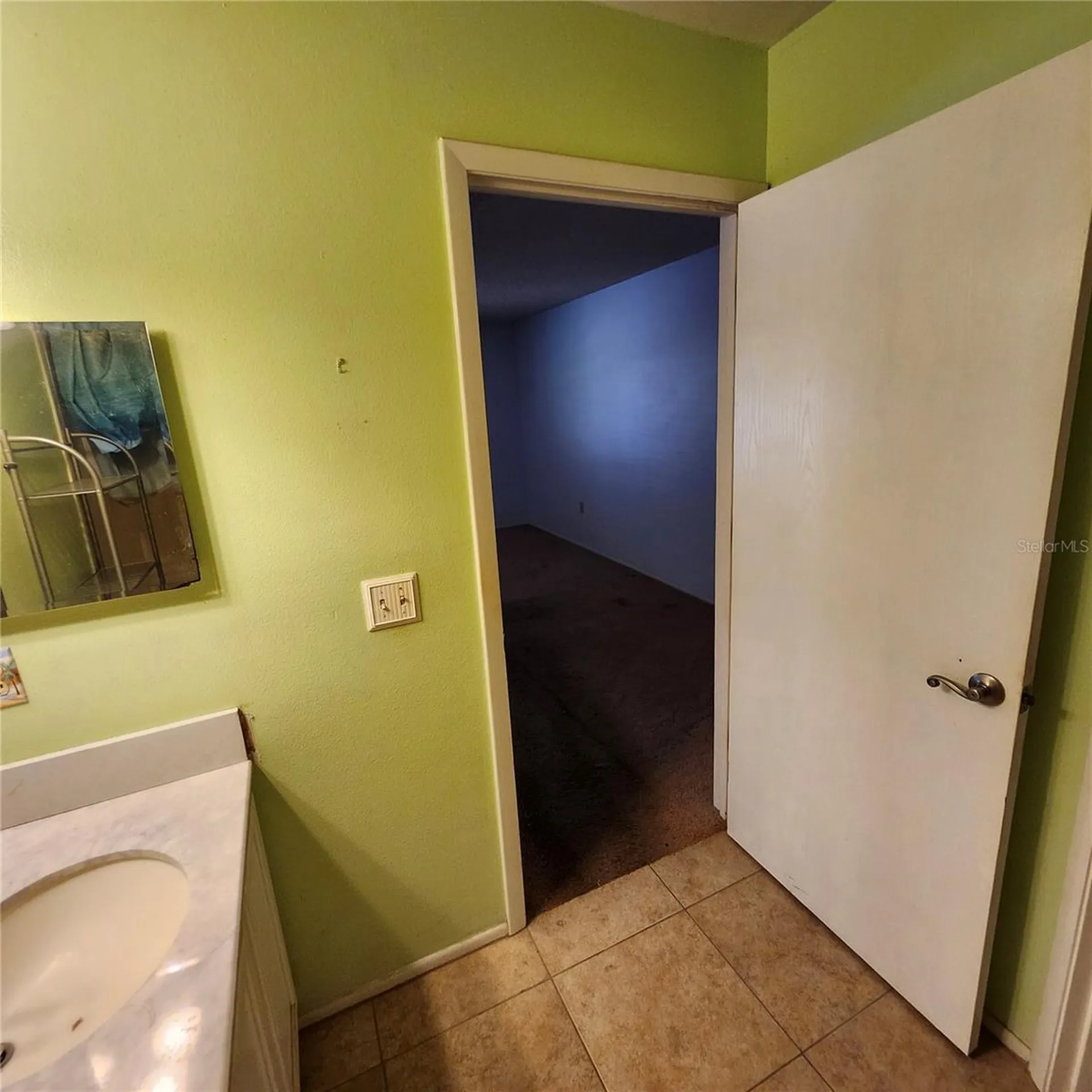1056 Shady Hollow Drive Deland FL 32724