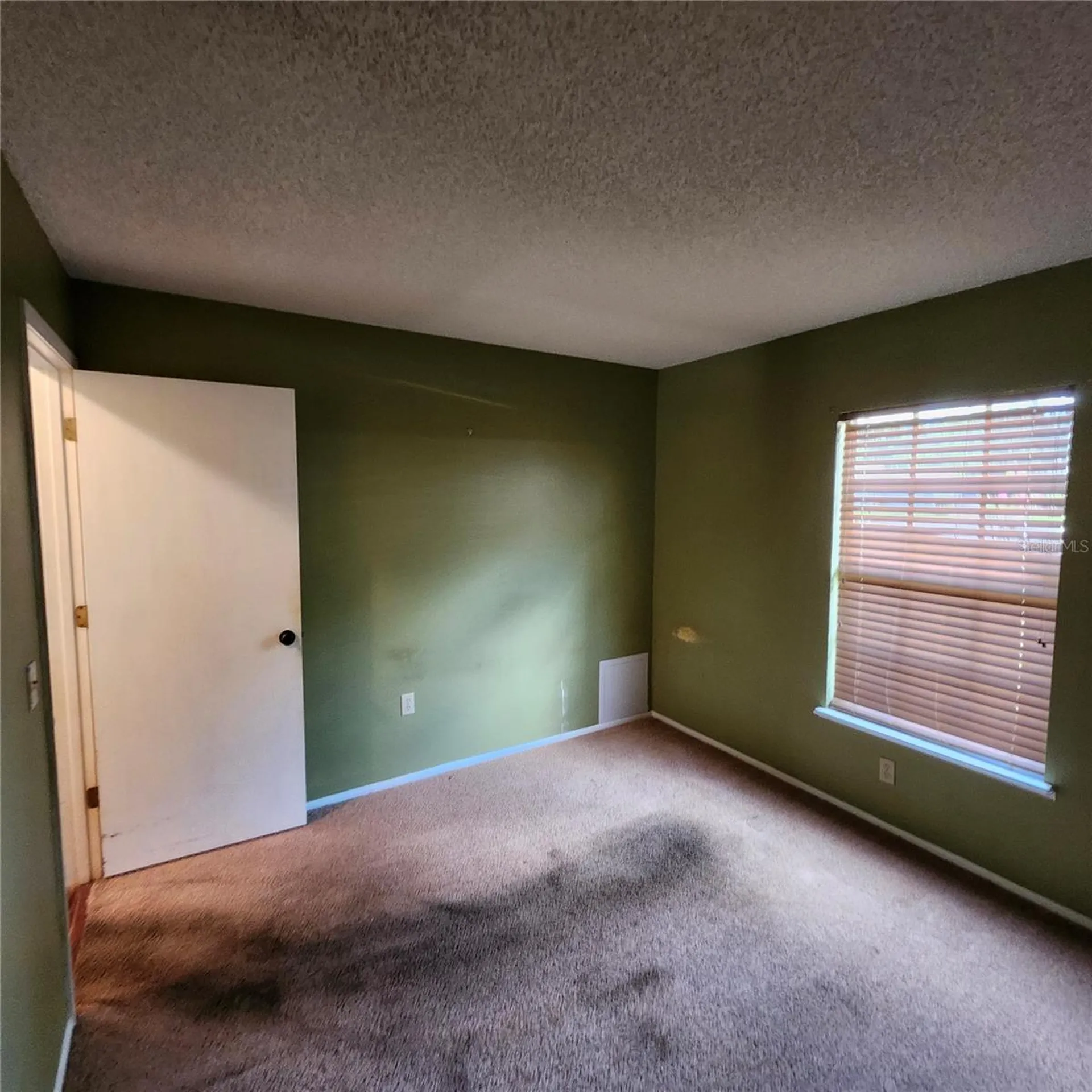 1056 Shady Hollow Drive Deland FL 32724