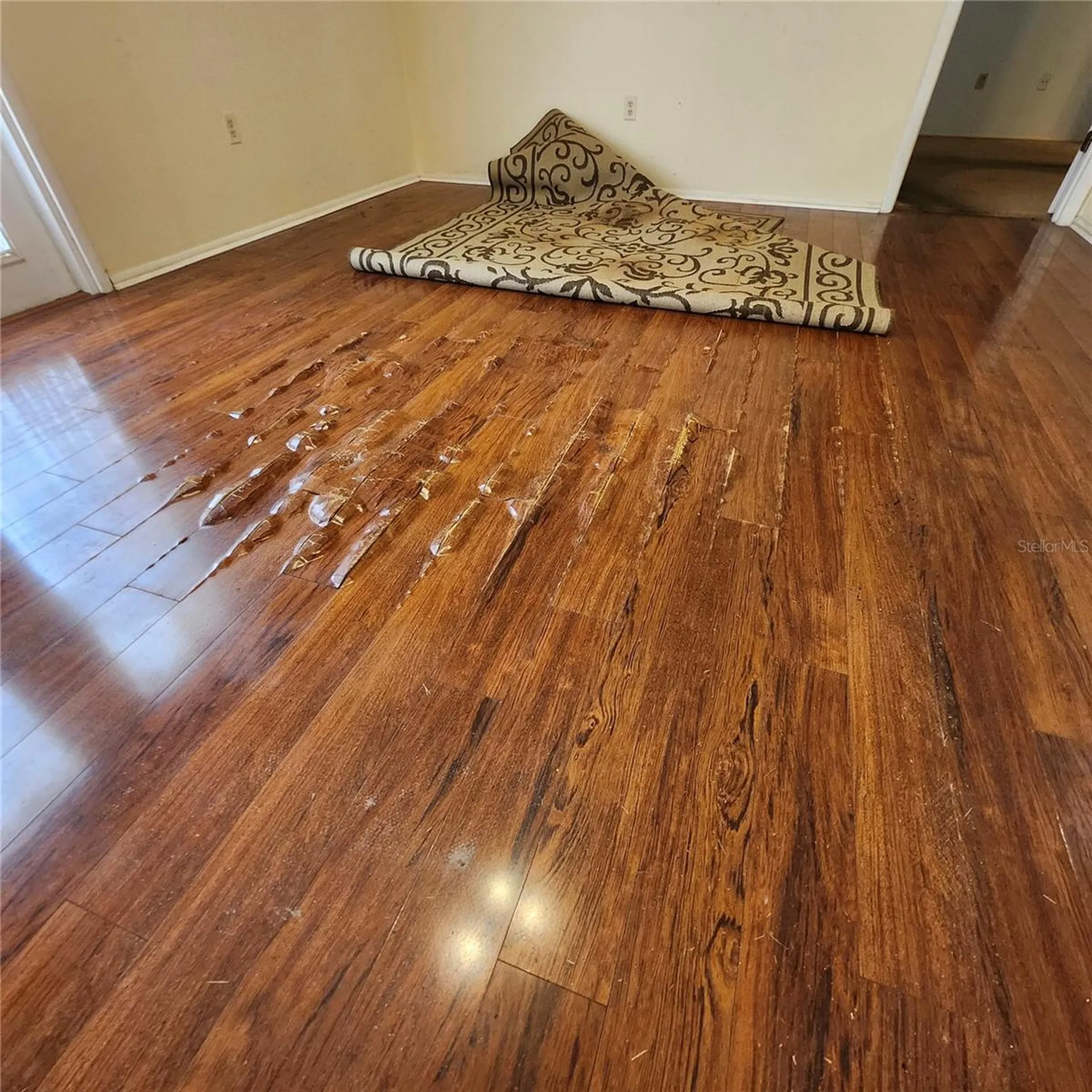 1056 Shady Hollow Drive Deland FL 32724