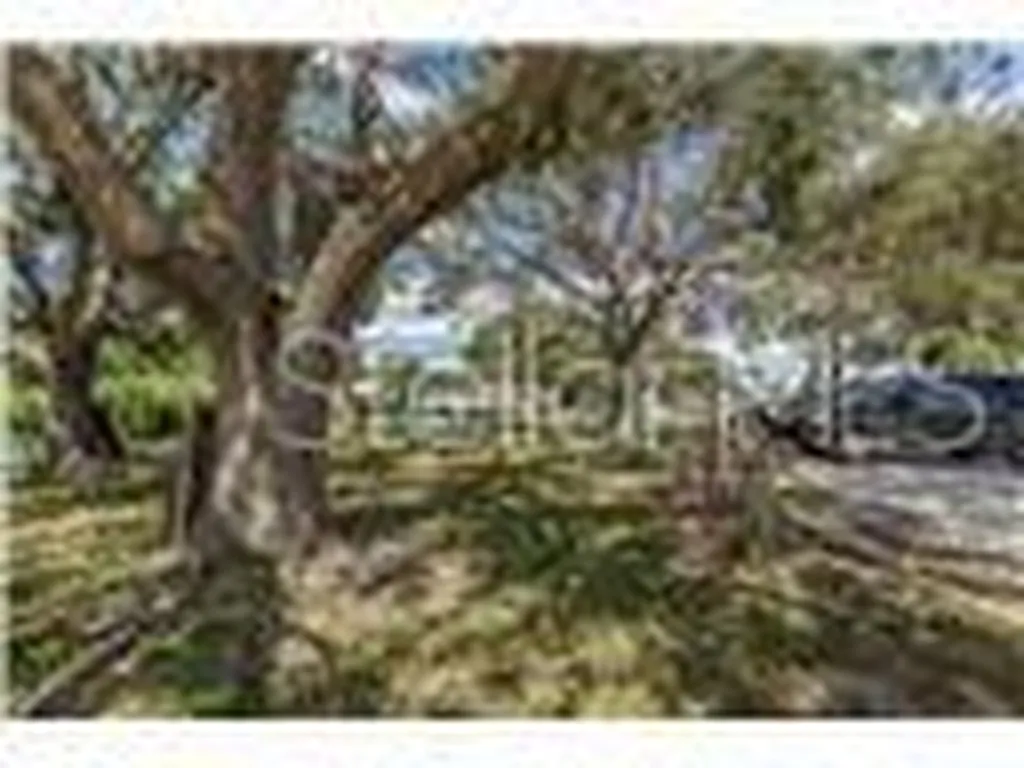 6509 New Jersey Street Bradenton FL 34207