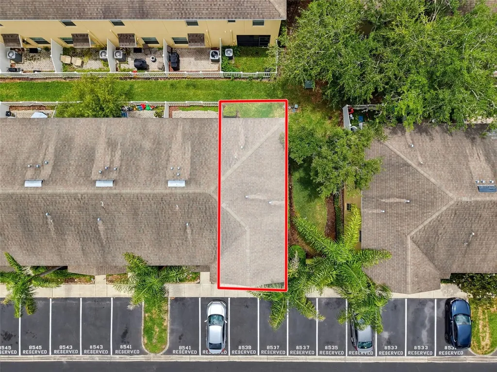 8537 Brushleaf Way Tampa FL 33647