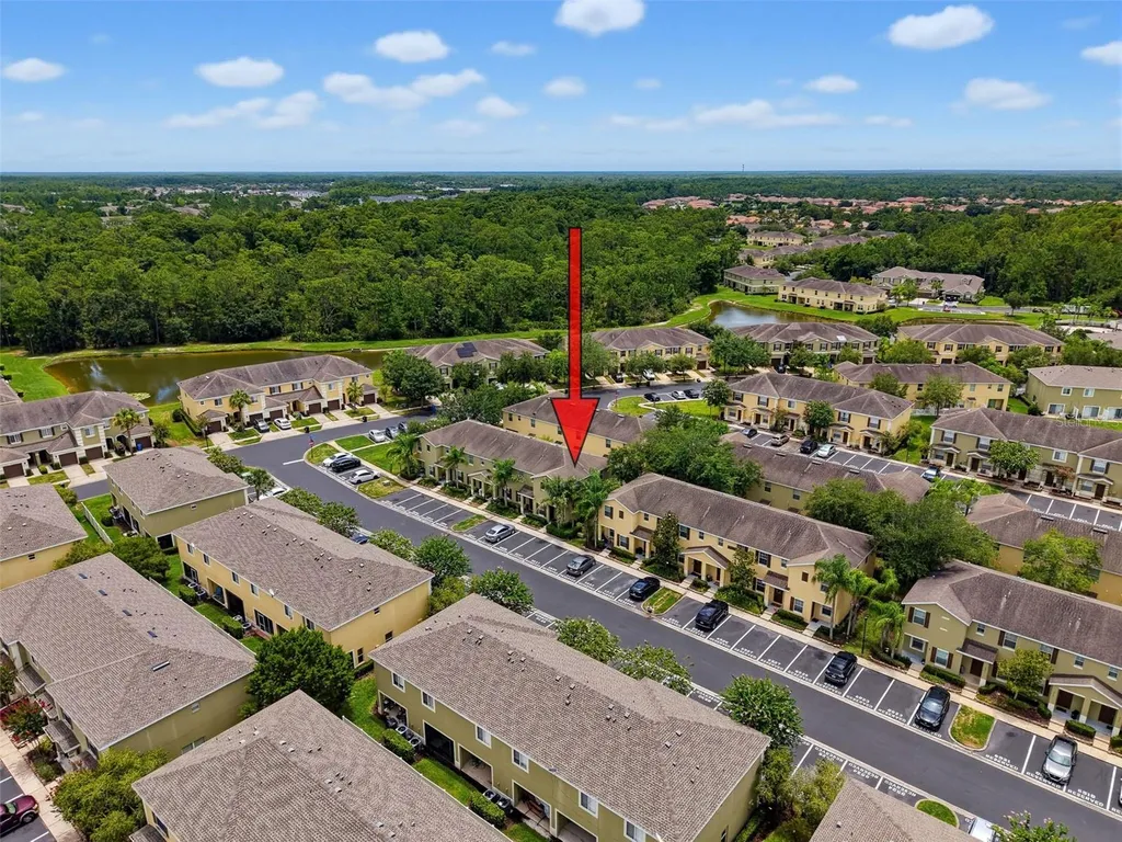 8537 Brushleaf Way Tampa FL 33647