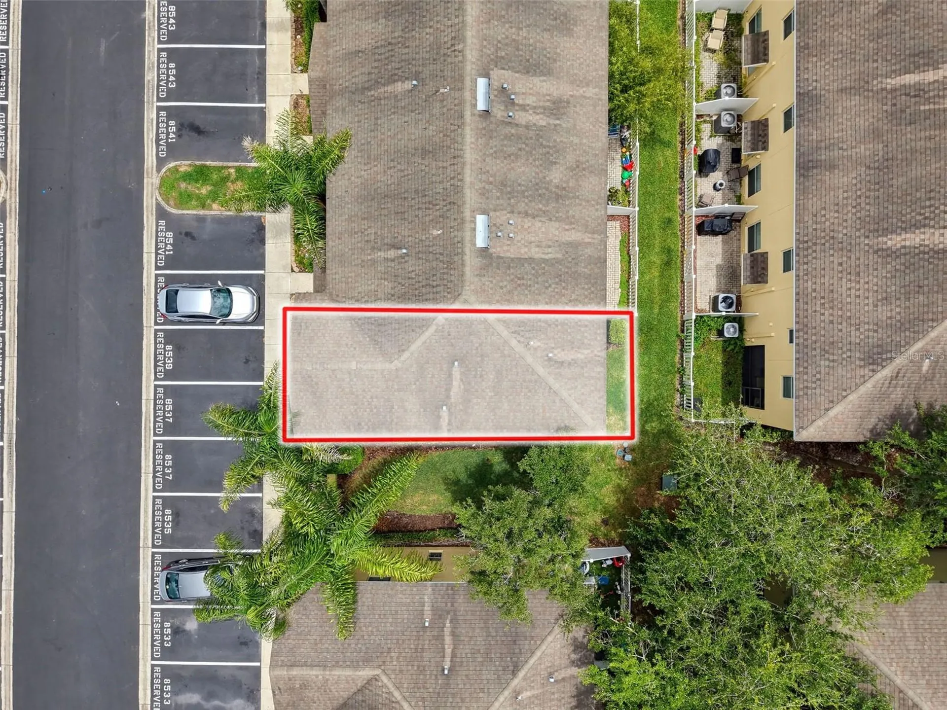 8537 Brushleaf Way Tampa FL 33647