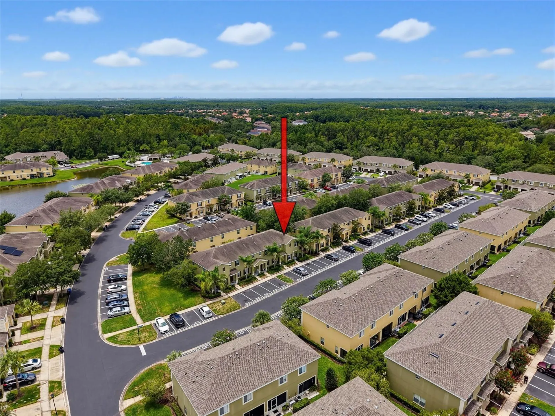 8537 Brushleaf Way Tampa FL 33647