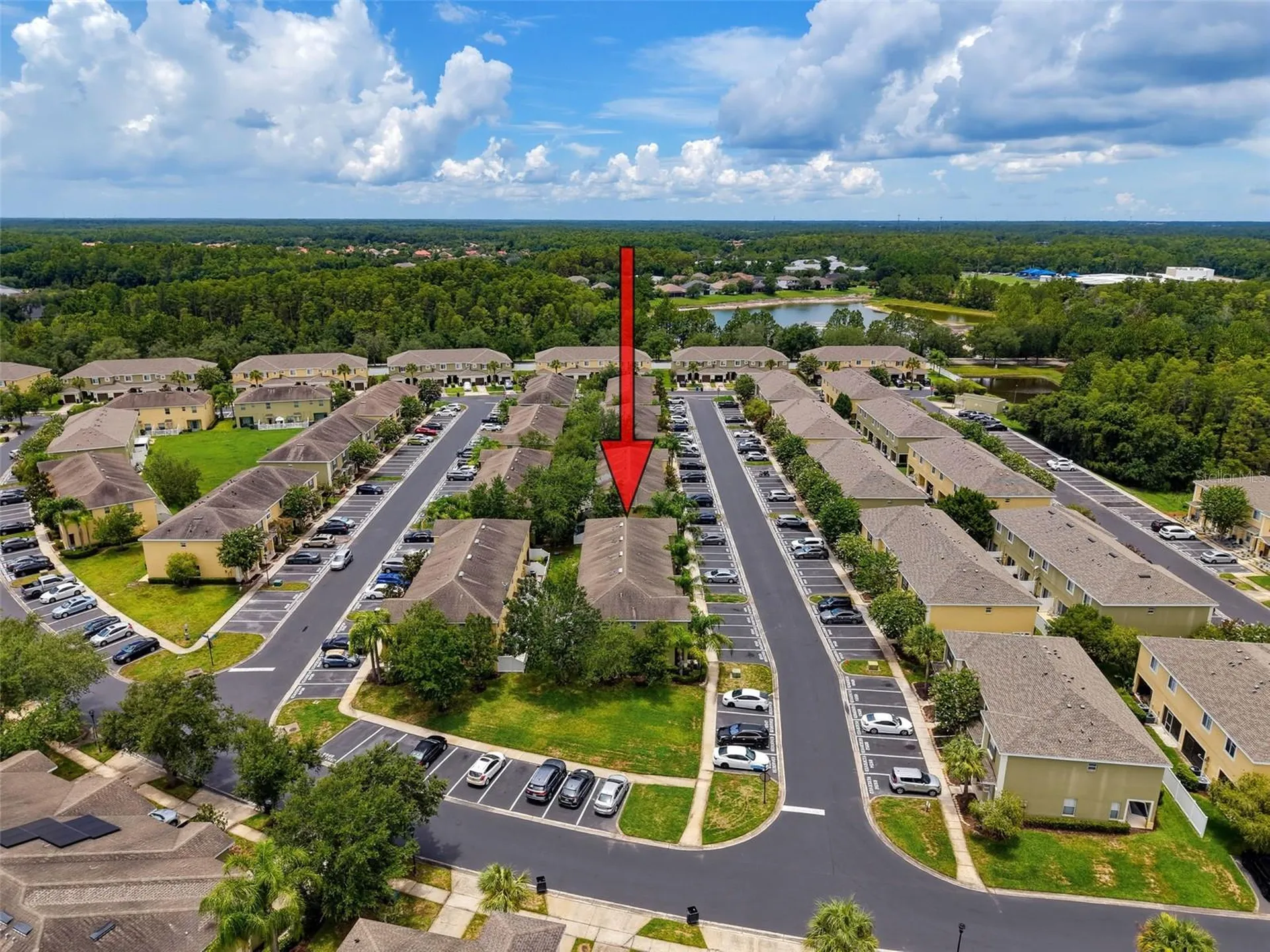 8537 Brushleaf Way Tampa FL 33647