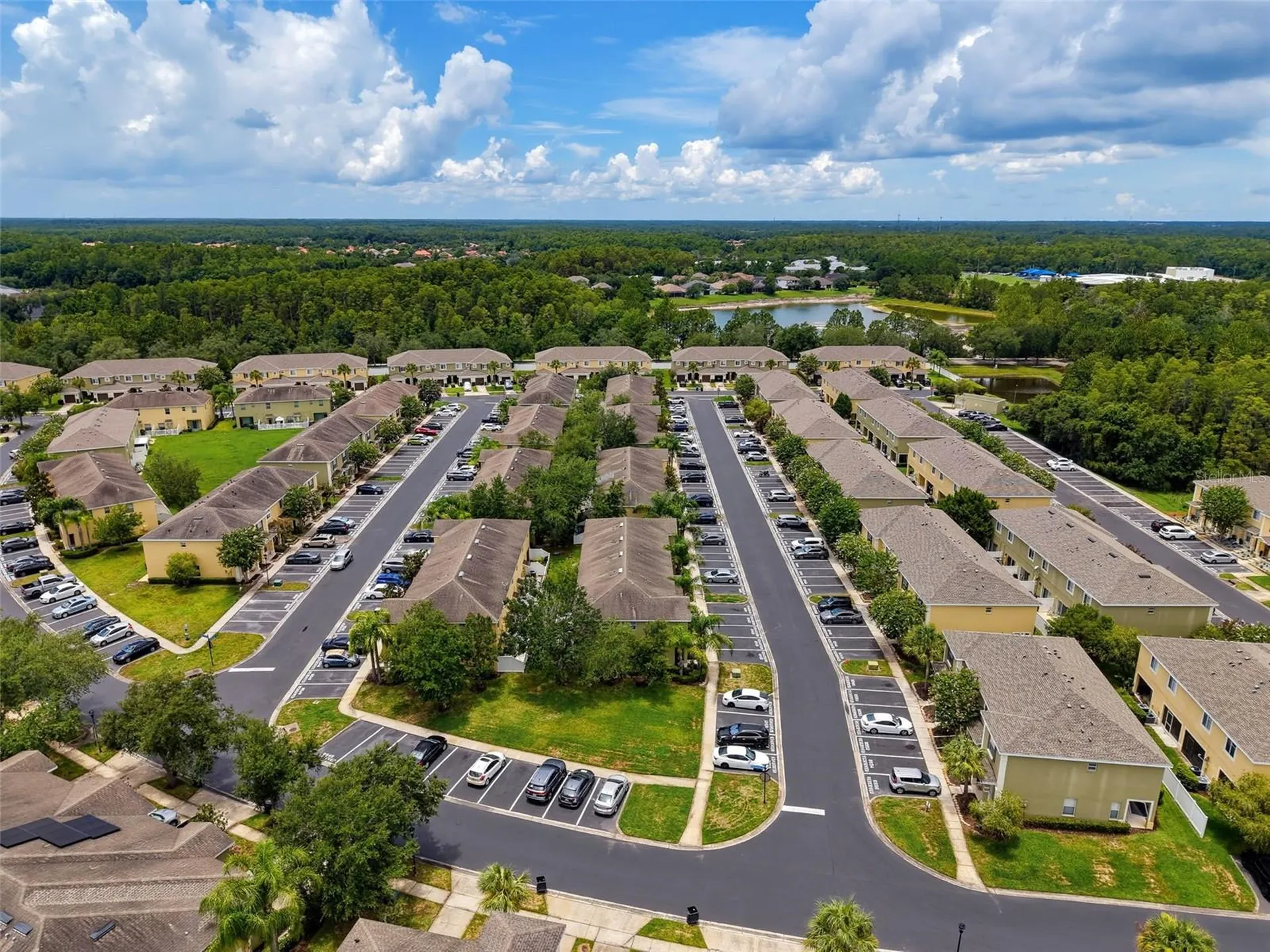 8537 Brushleaf Way Tampa FL 33647