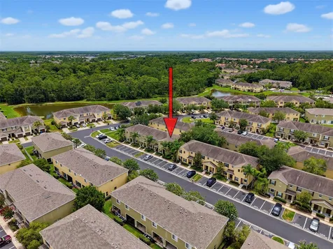 8537 Brushleaf Way Tampa FL 33647