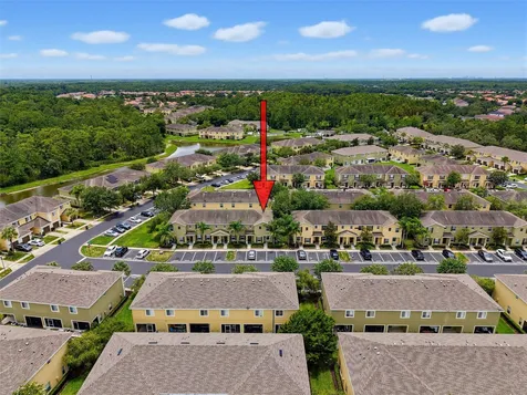 8537 Brushleaf Way Tampa FL 33647