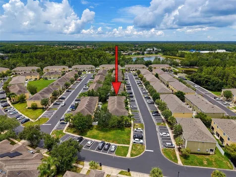 8537 Brushleaf Way Tampa FL 33647