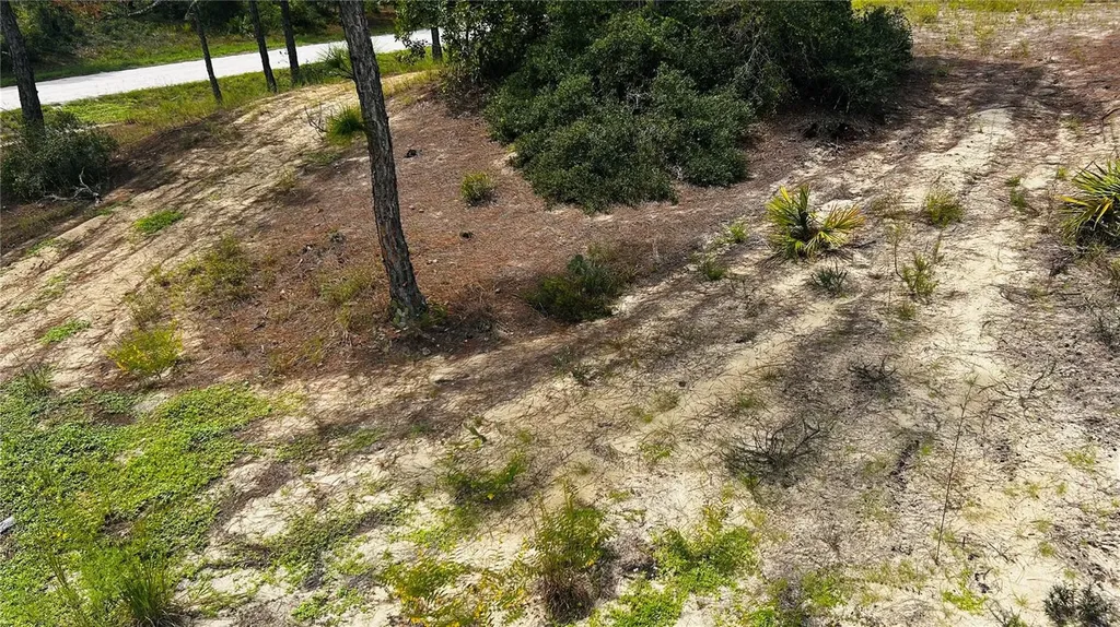 486 Dreamland Drive Lake Placid FL 33852