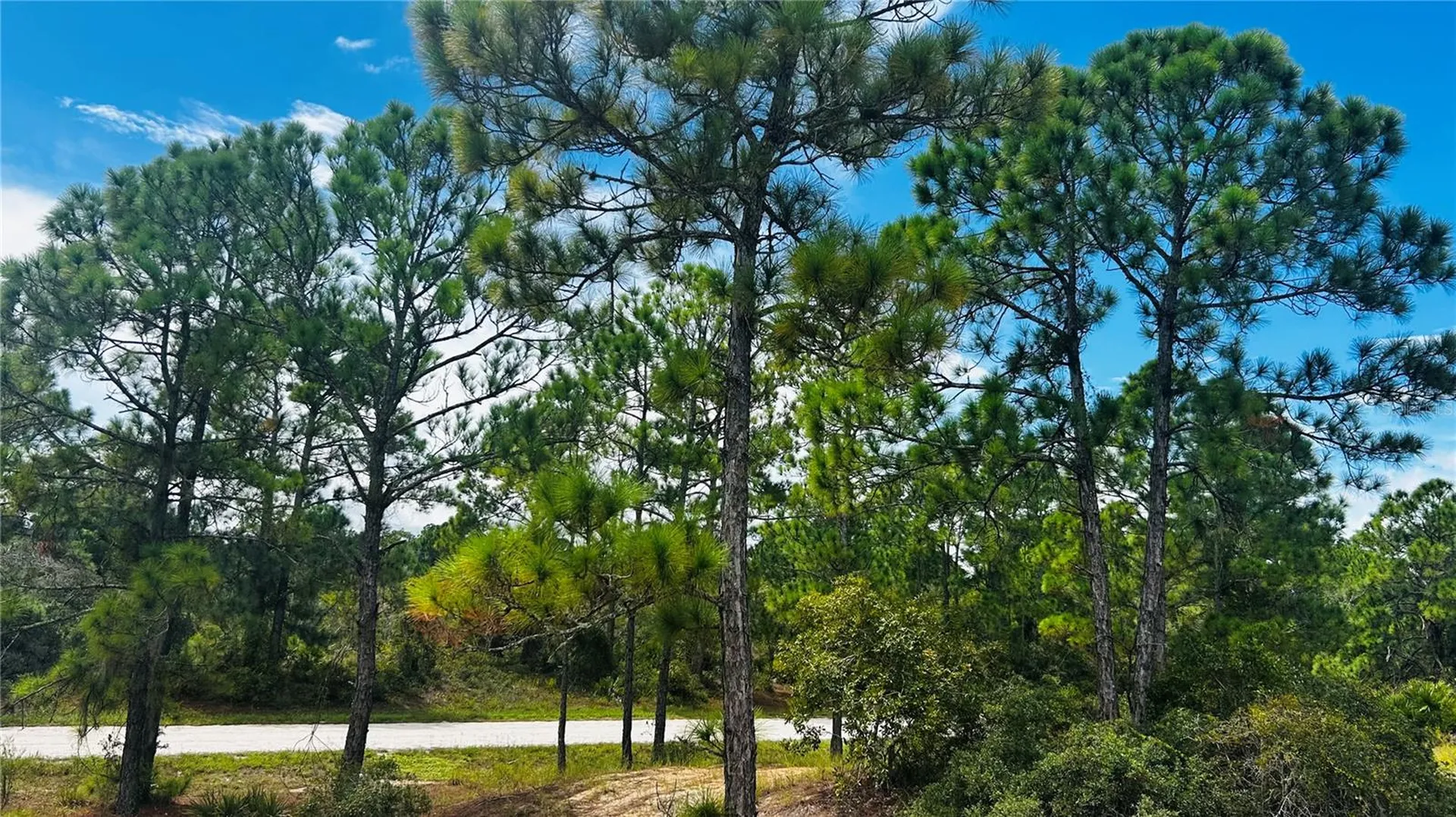 486 Dreamland Drive Lake Placid FL 33852
