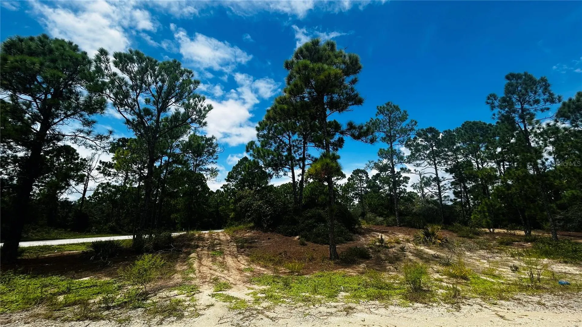 486 Dreamland Drive Lake Placid FL 33852