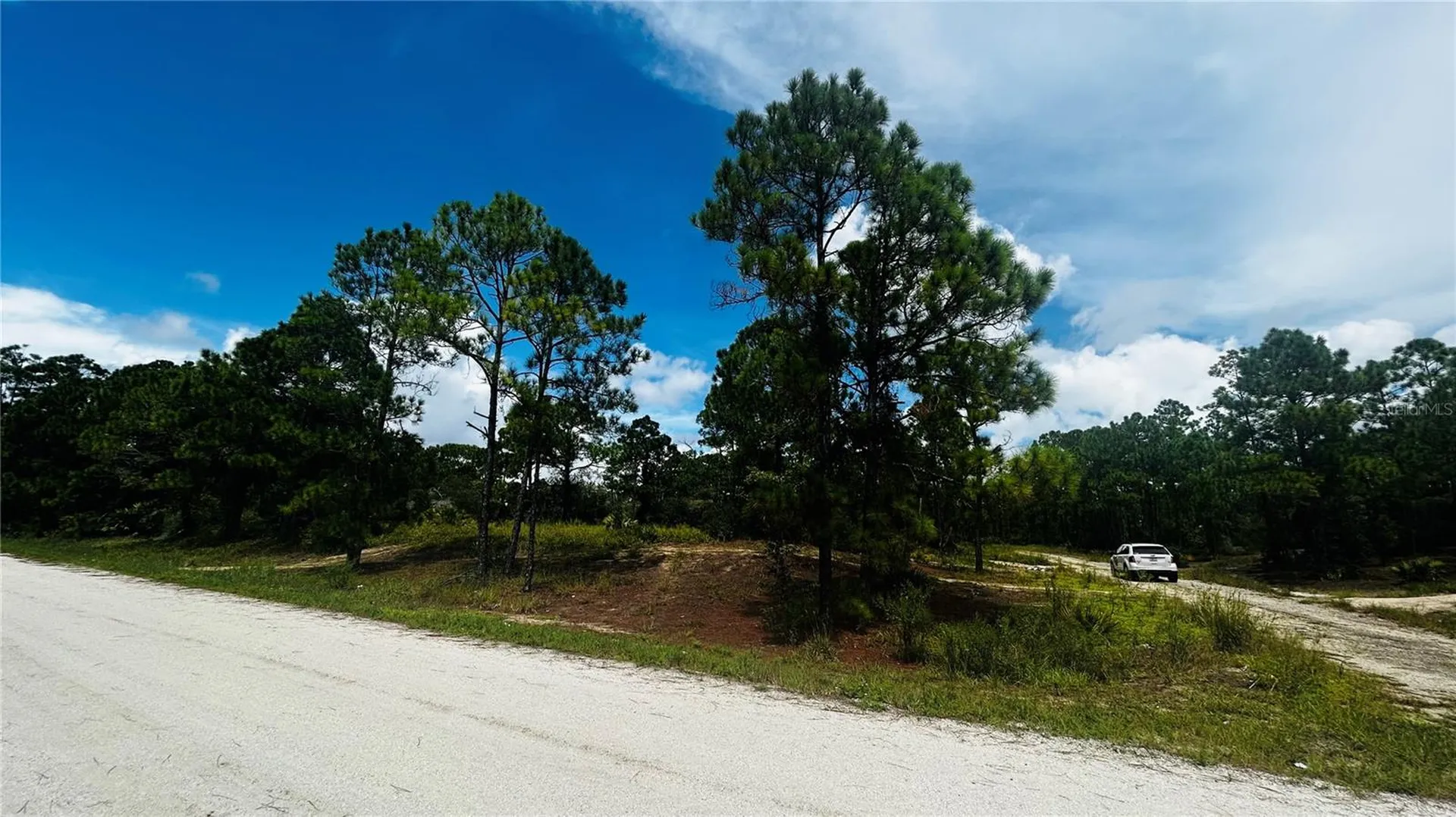 486 Dreamland Drive Lake Placid FL 33852