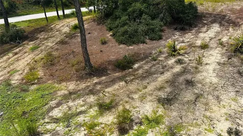 486 Dreamland Drive Lake Placid FL 33852