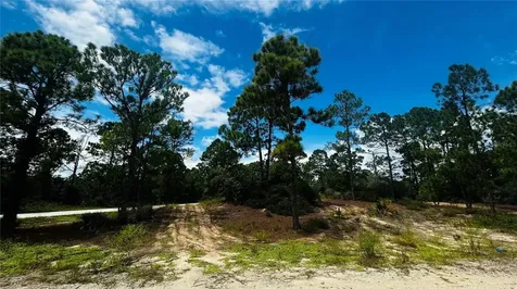486 Dreamland Drive Lake Placid FL 33852