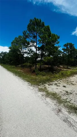 486 Dreamland Drive Lake Placid FL 33852