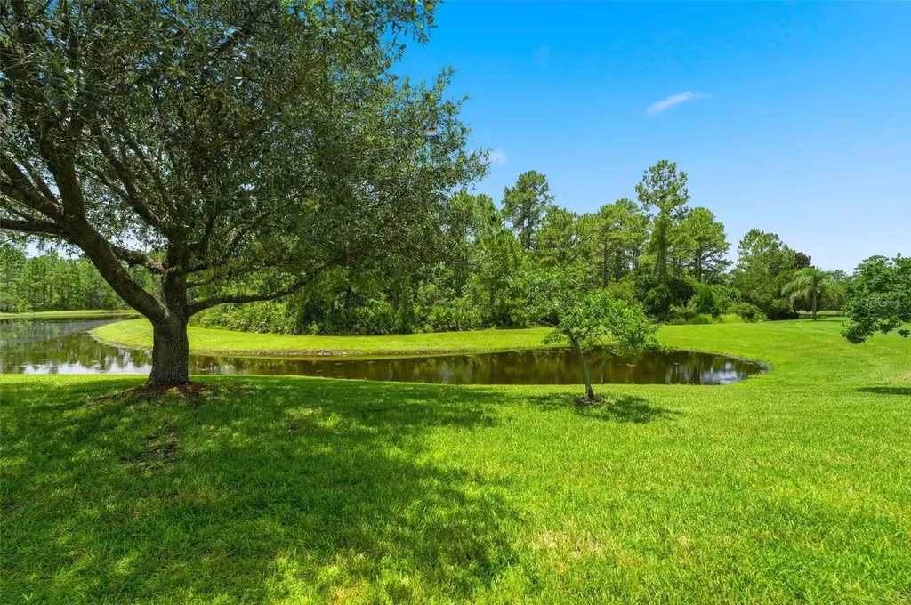 3894 Safflower Terrace Oviedo FL 32766