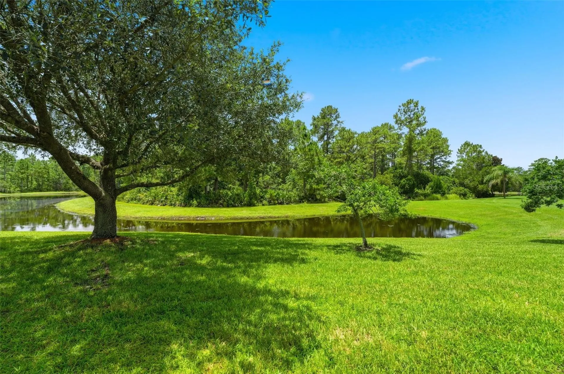 3894 Safflower Terrace Oviedo FL 32766