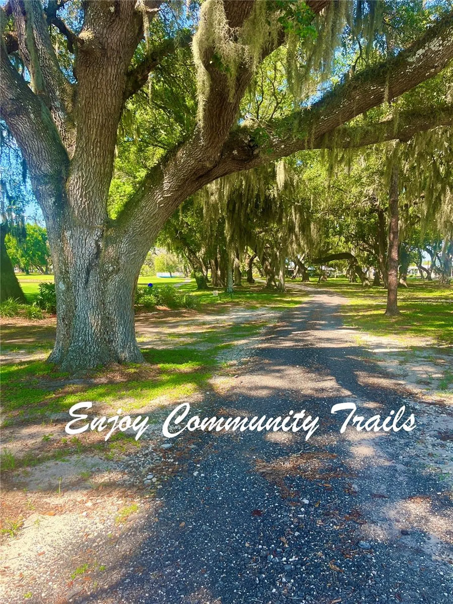 5716 Pawnee Street Zephyrhills FL 33542