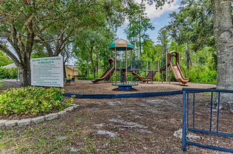 8706 Linebrook Drive Trinity FL 34655