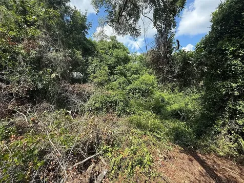 1693 8th Avenue Deland FL 32724