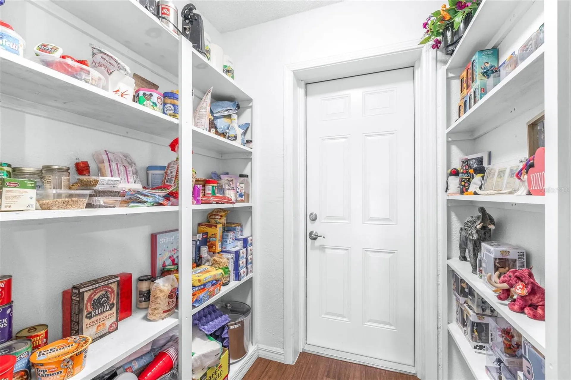 37237 Nicole Avenue Zephyrhills FL 33541