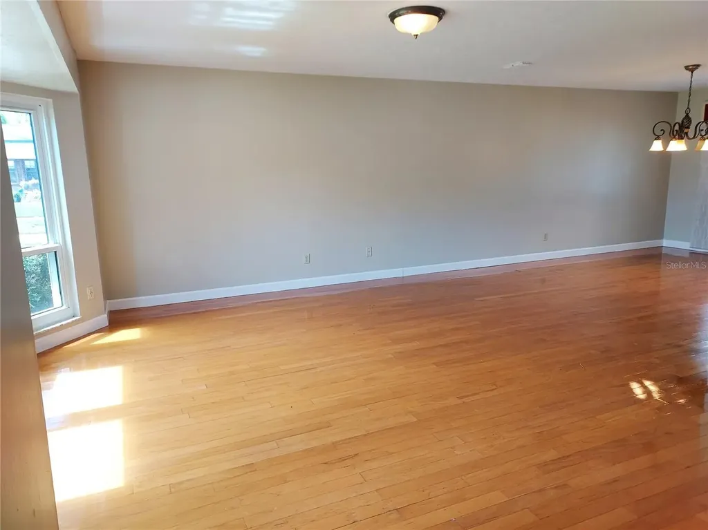 702 Hyssop Place Brandon FL 33510