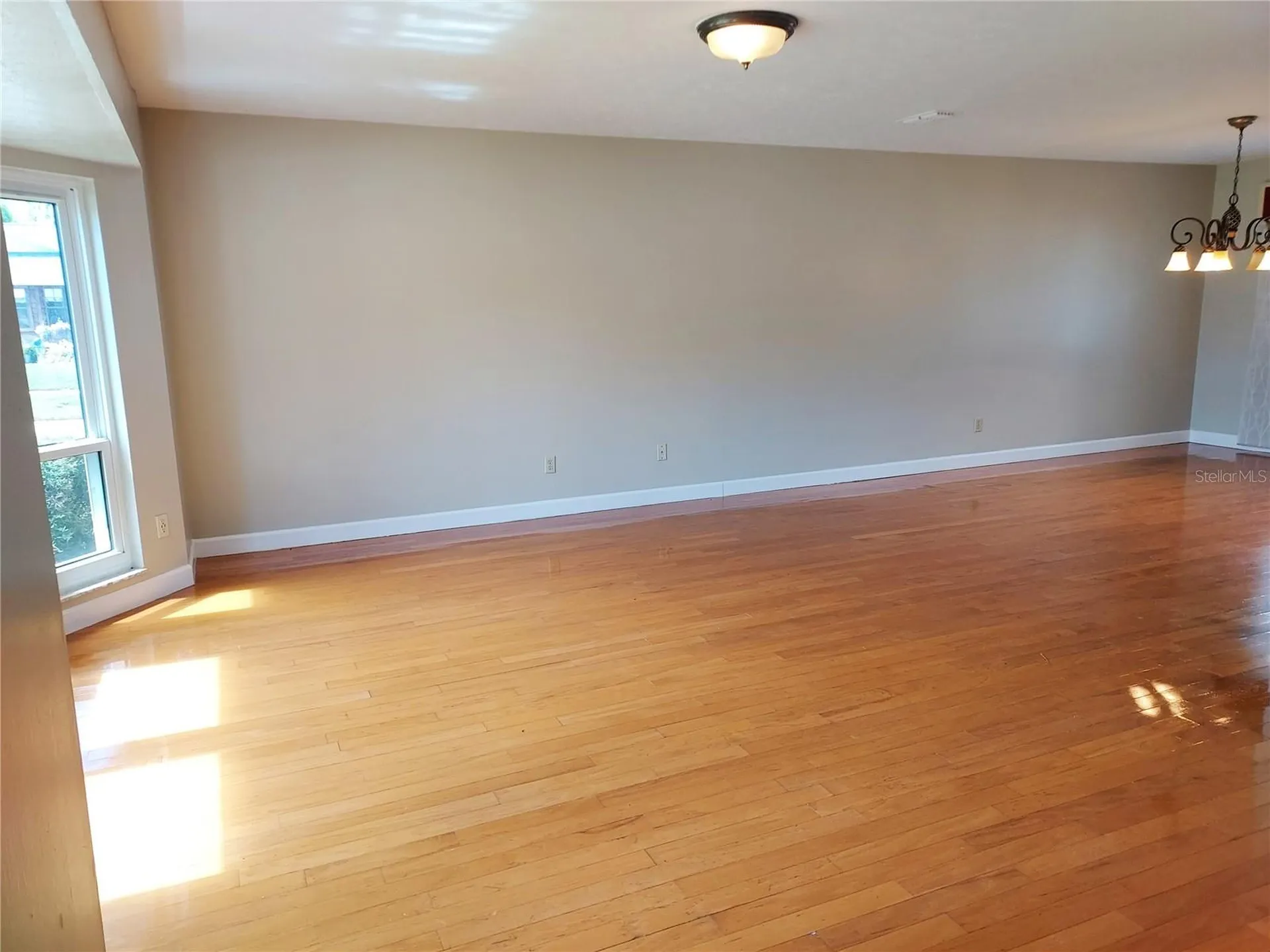 702 Hyssop Place Brandon FL 33510