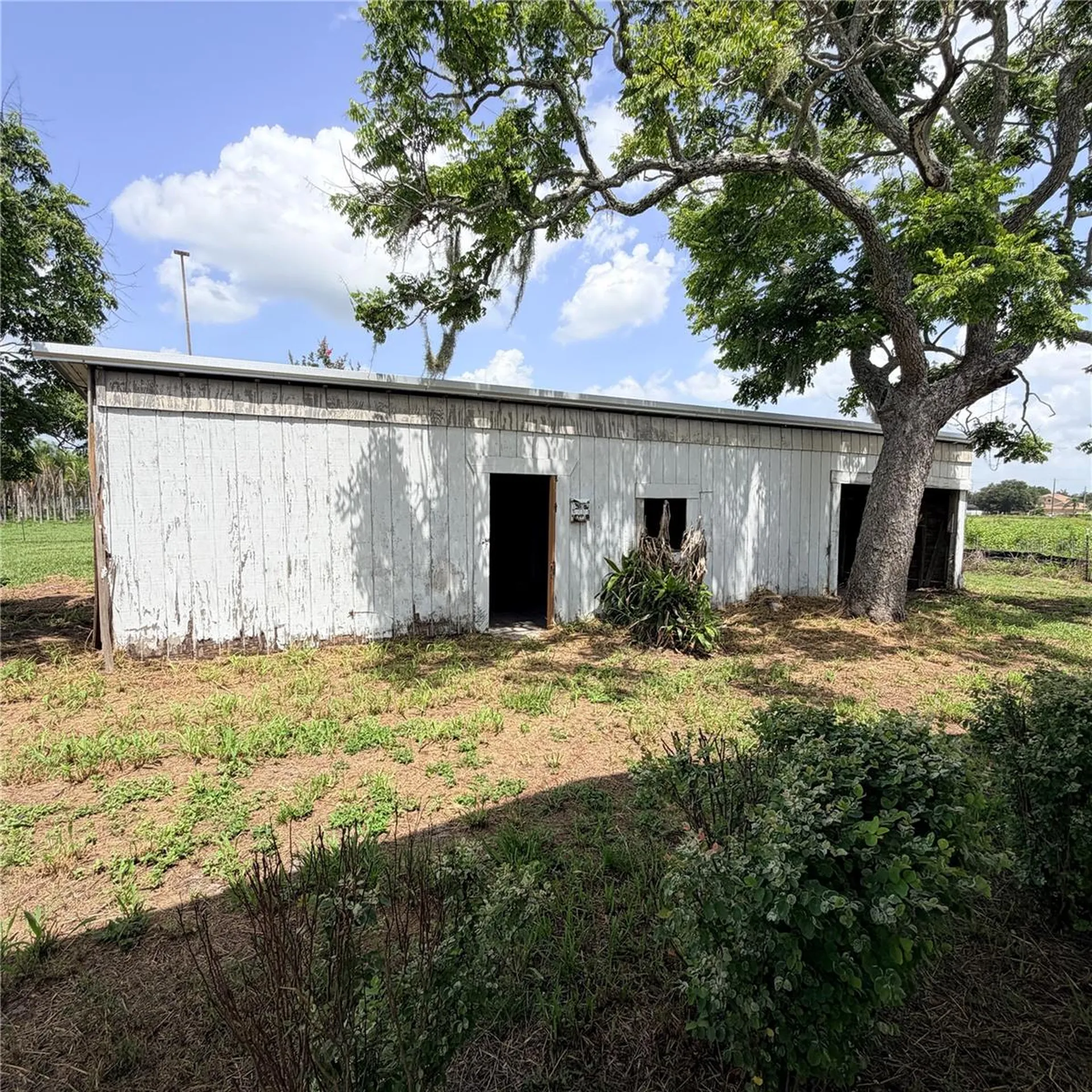 15016 Scant Street Wimauma FL 33598