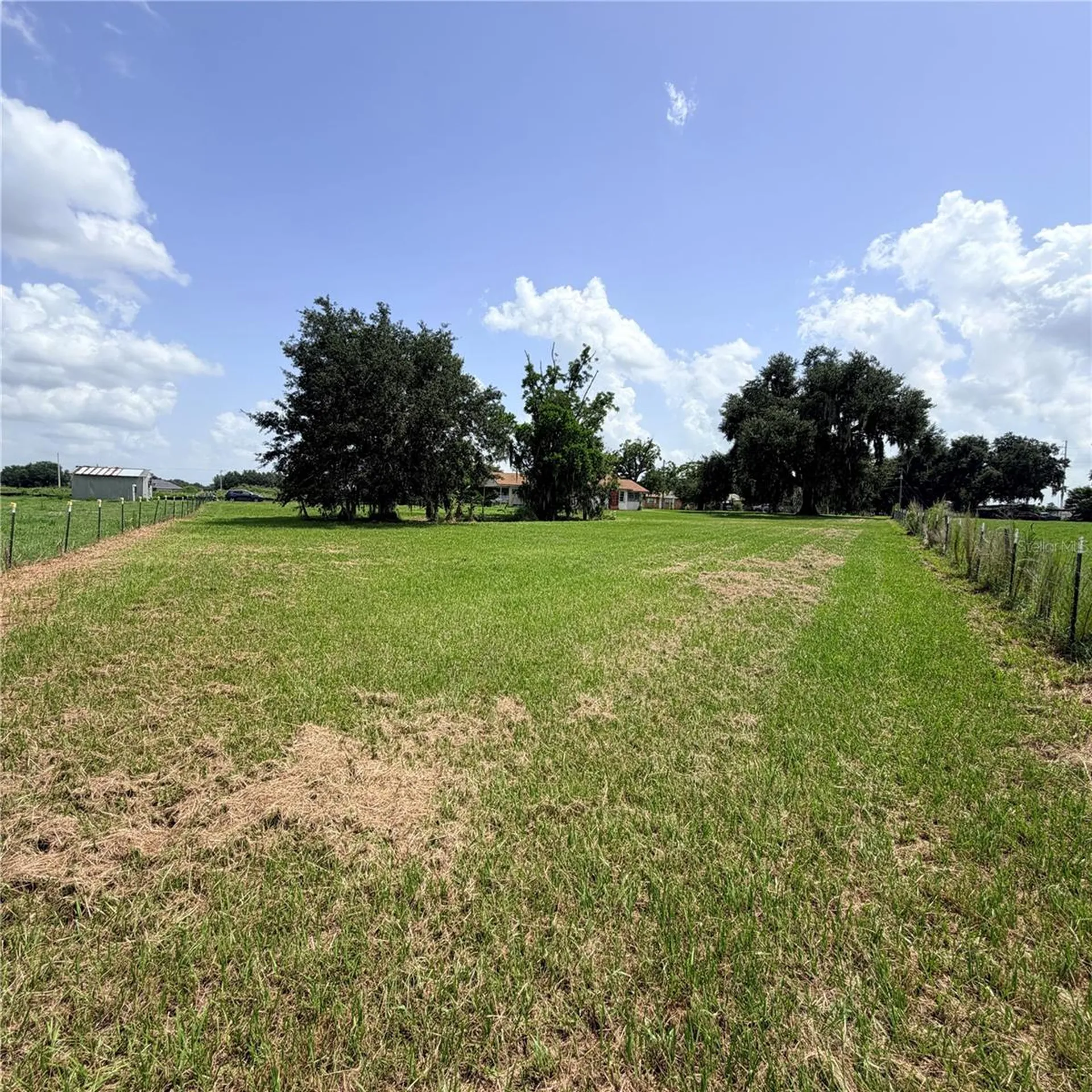 15016 Scant Street Wimauma FL 33598