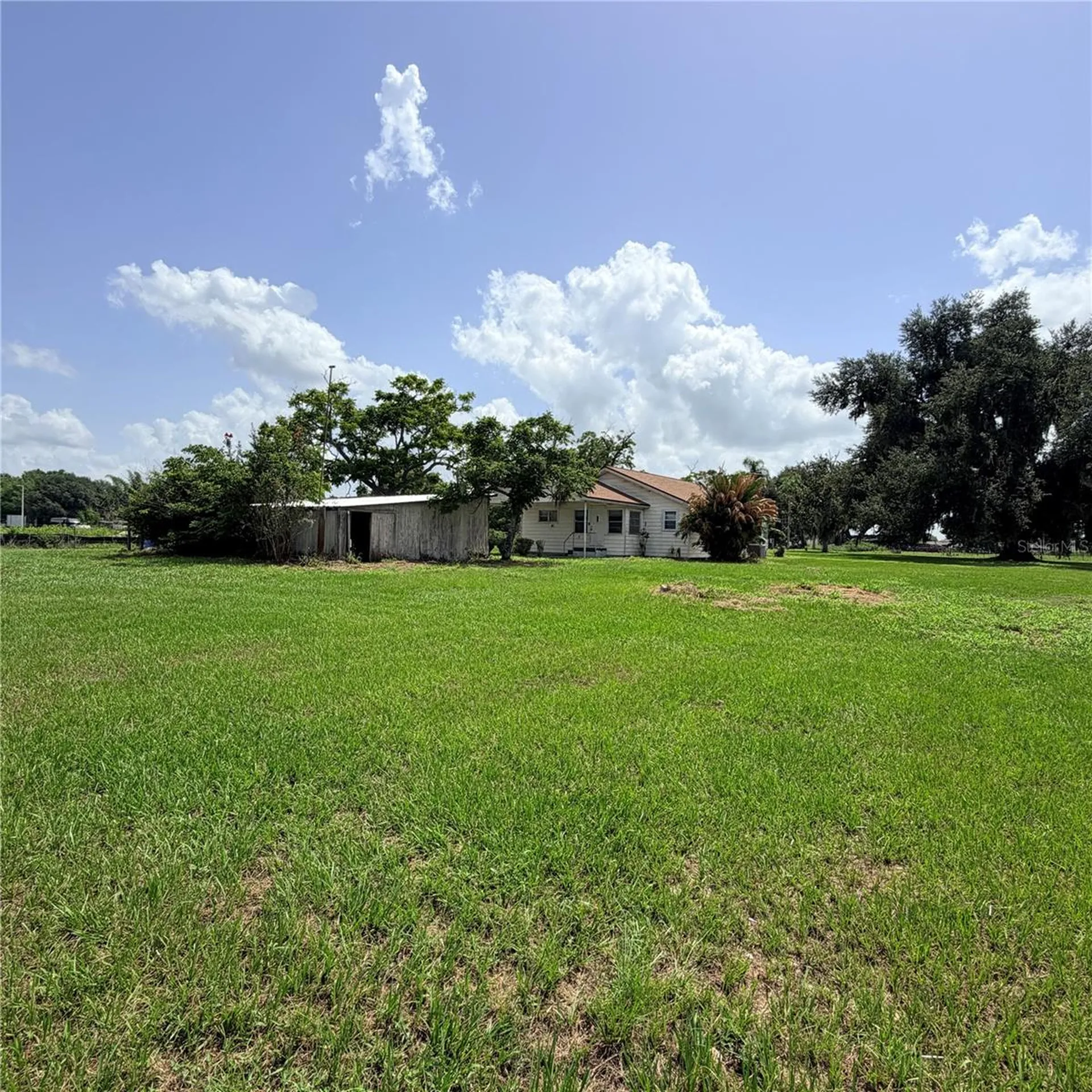 15016 Scant Street Wimauma FL 33598