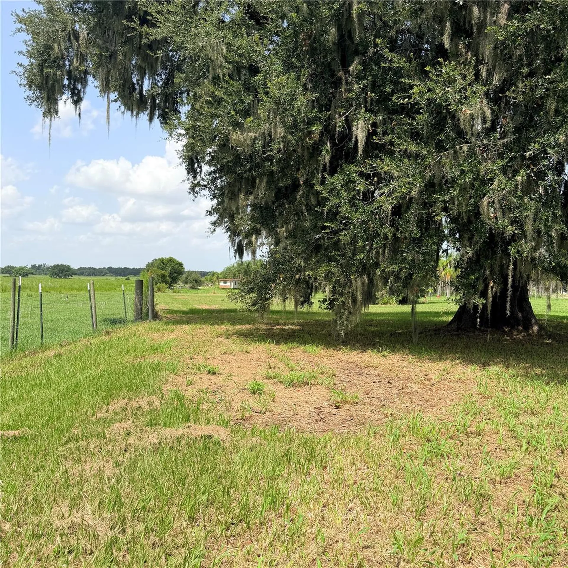 15016 Scant Street Wimauma FL 33598