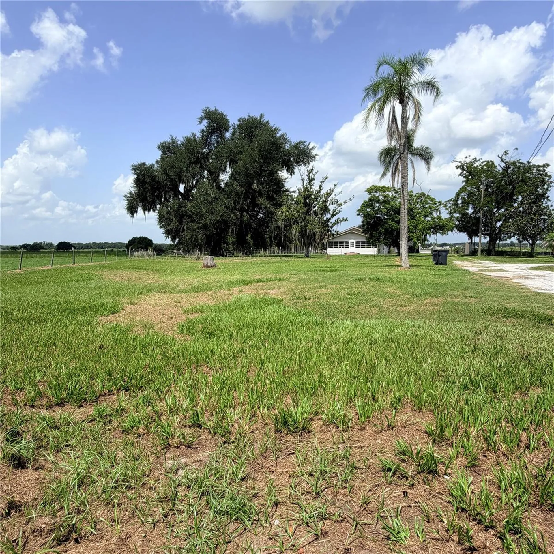 15016 Scant Street Wimauma FL 33598