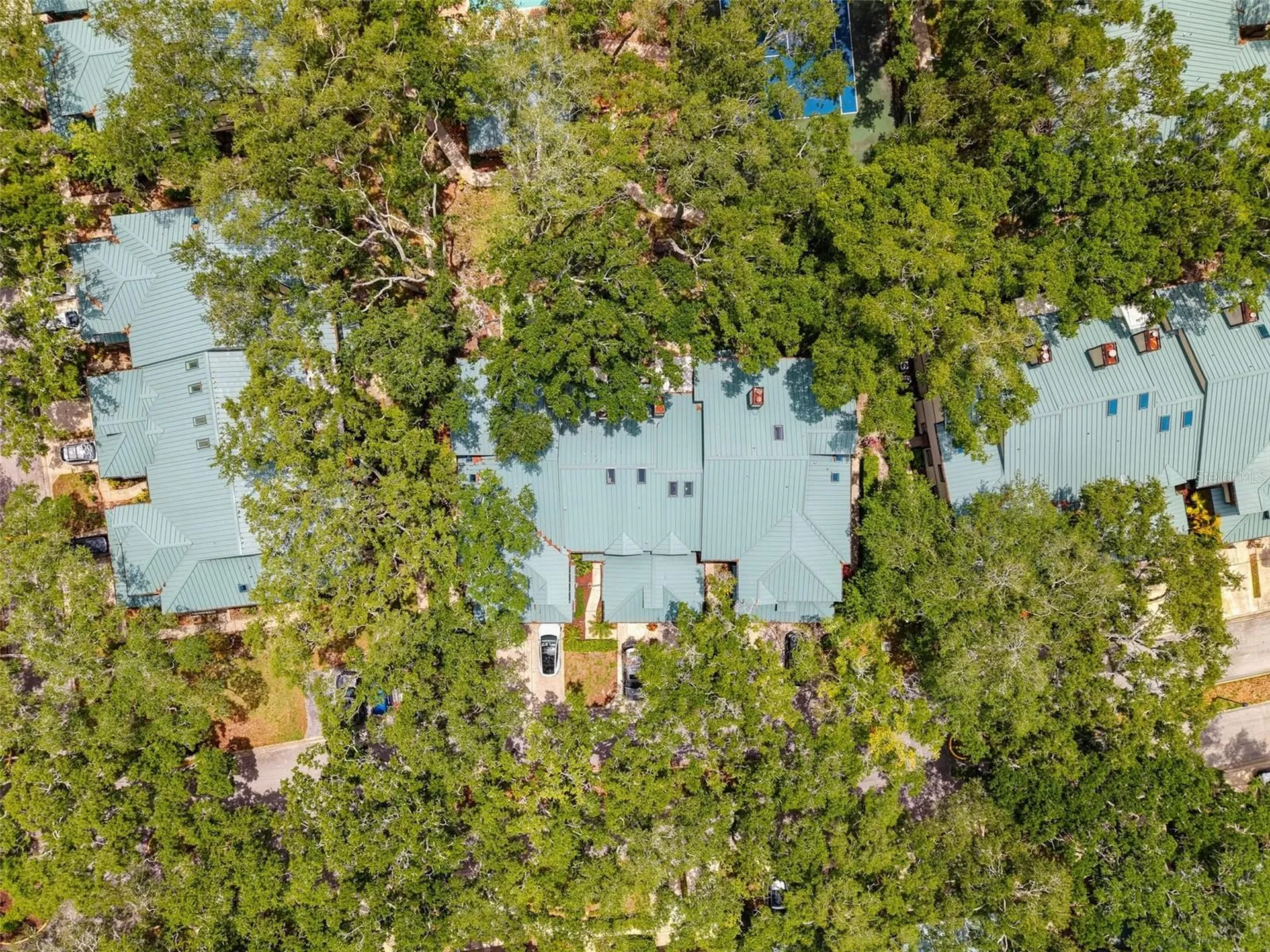 1491 Mahogany Lane Palm Harbor FL 34683