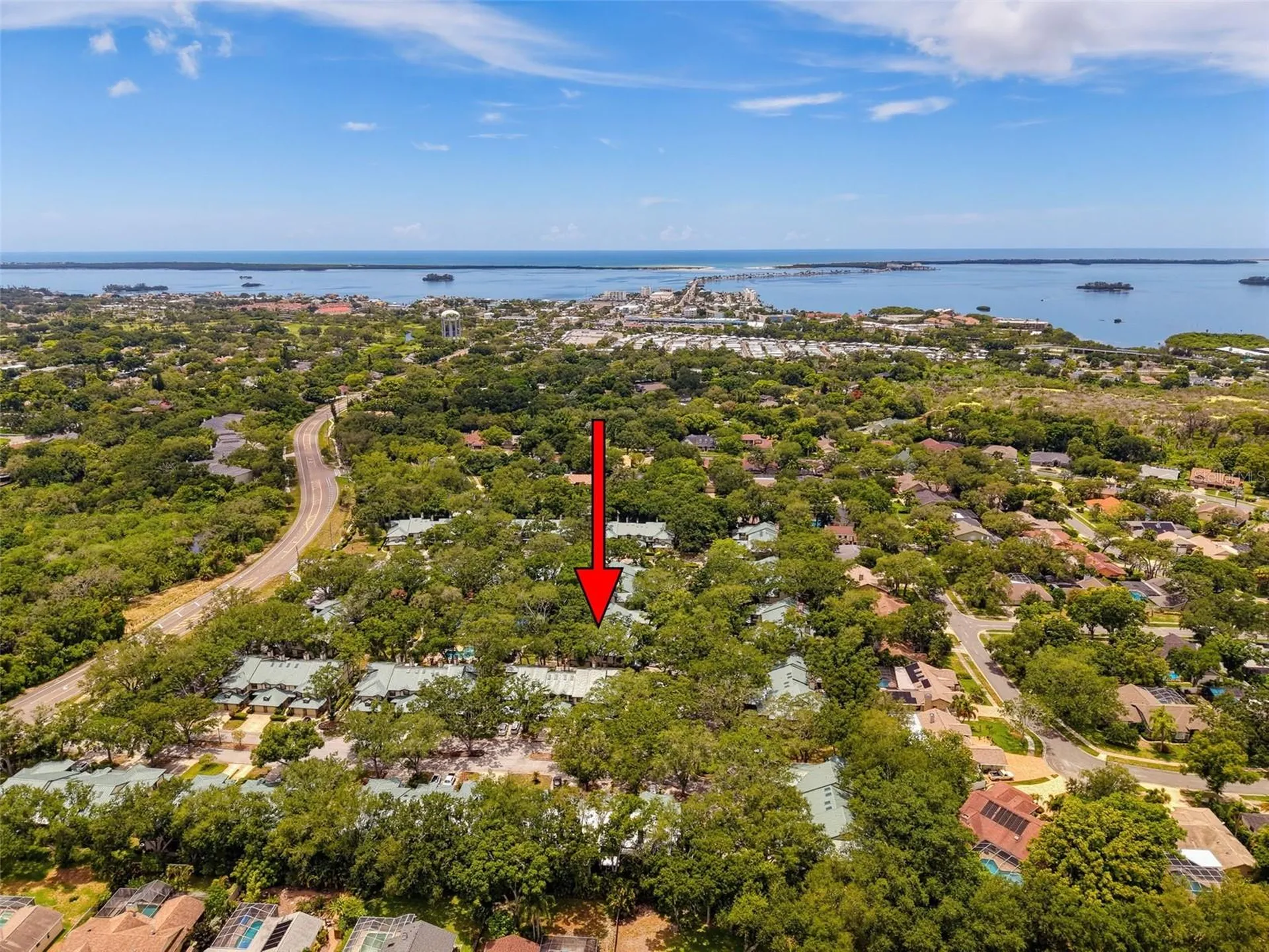 1491 Mahogany Lane Palm Harbor FL 34683