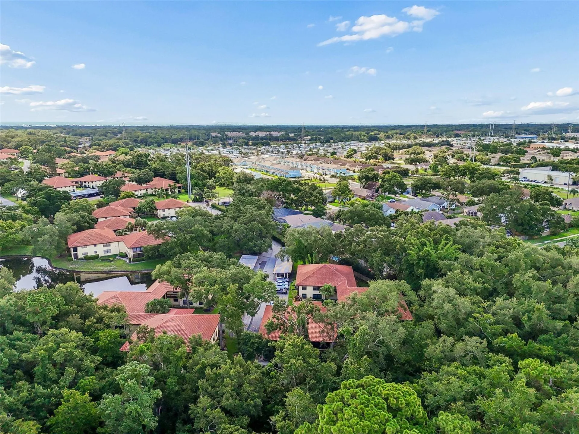 2814 Hammock Court Clearwater FL 33761