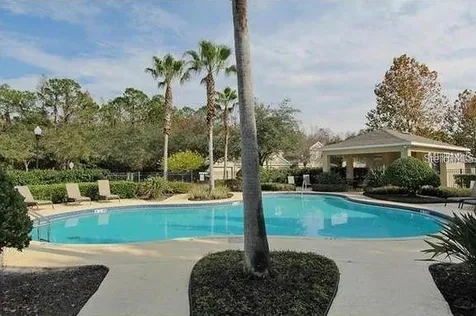 11220 Windsor Place Circle Tampa FL 33626