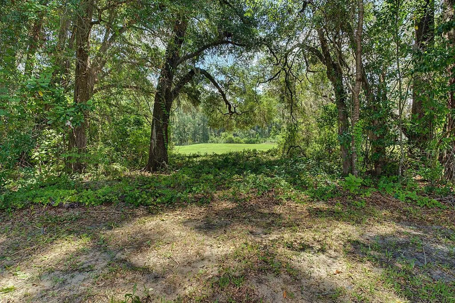 9009 SW 194th Court Dunnellon FL 34432
