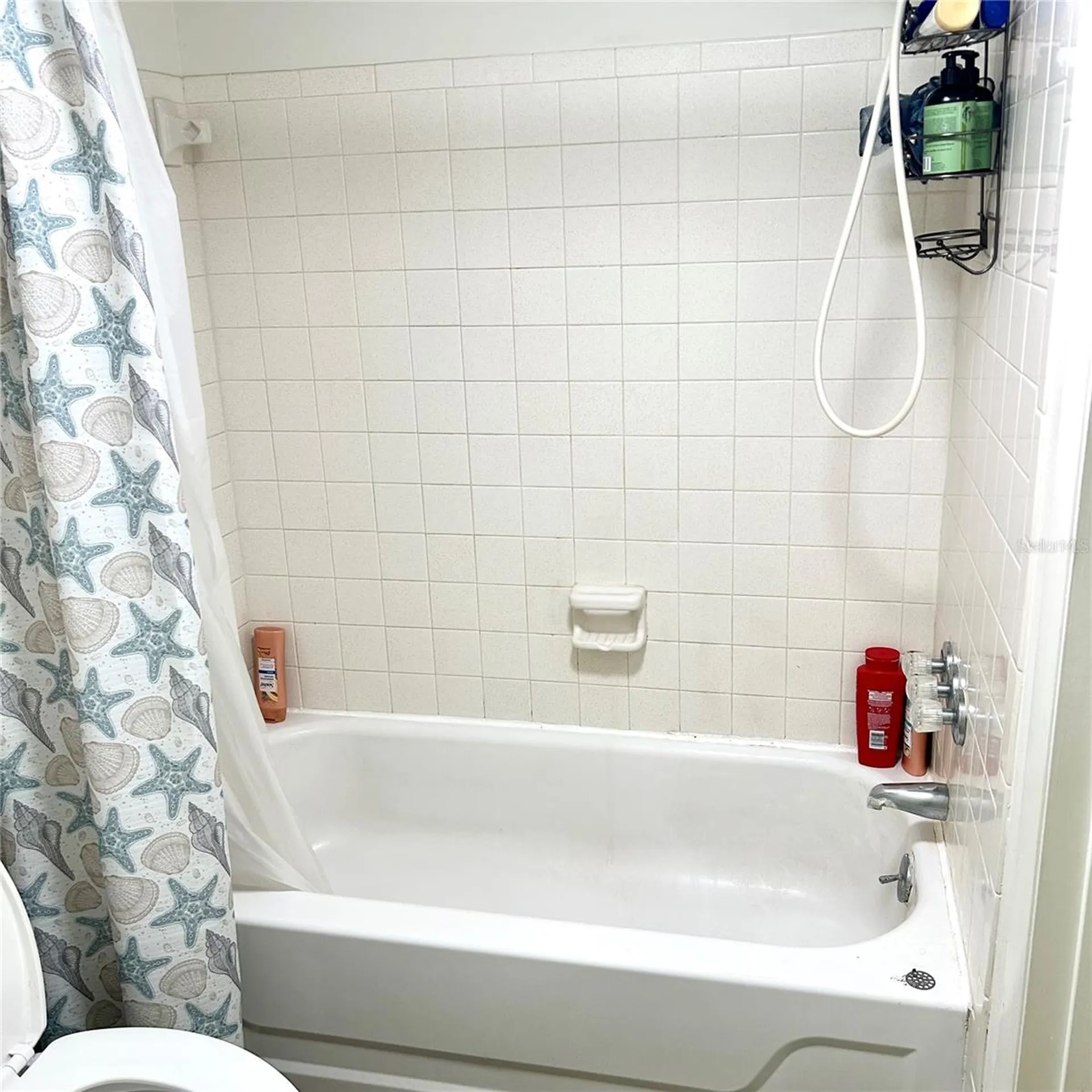 7531 Pitch Pine Circle Tampa FL 33617