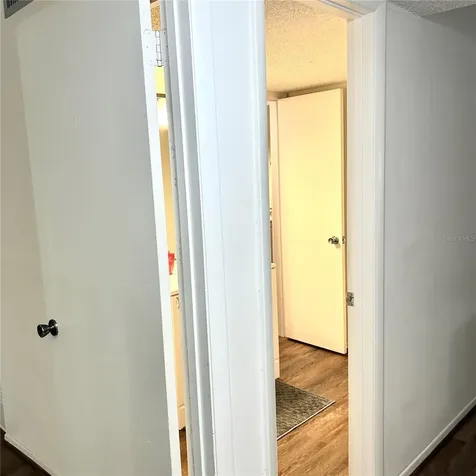 7531 Pitch Pine Circle Tampa FL 33617