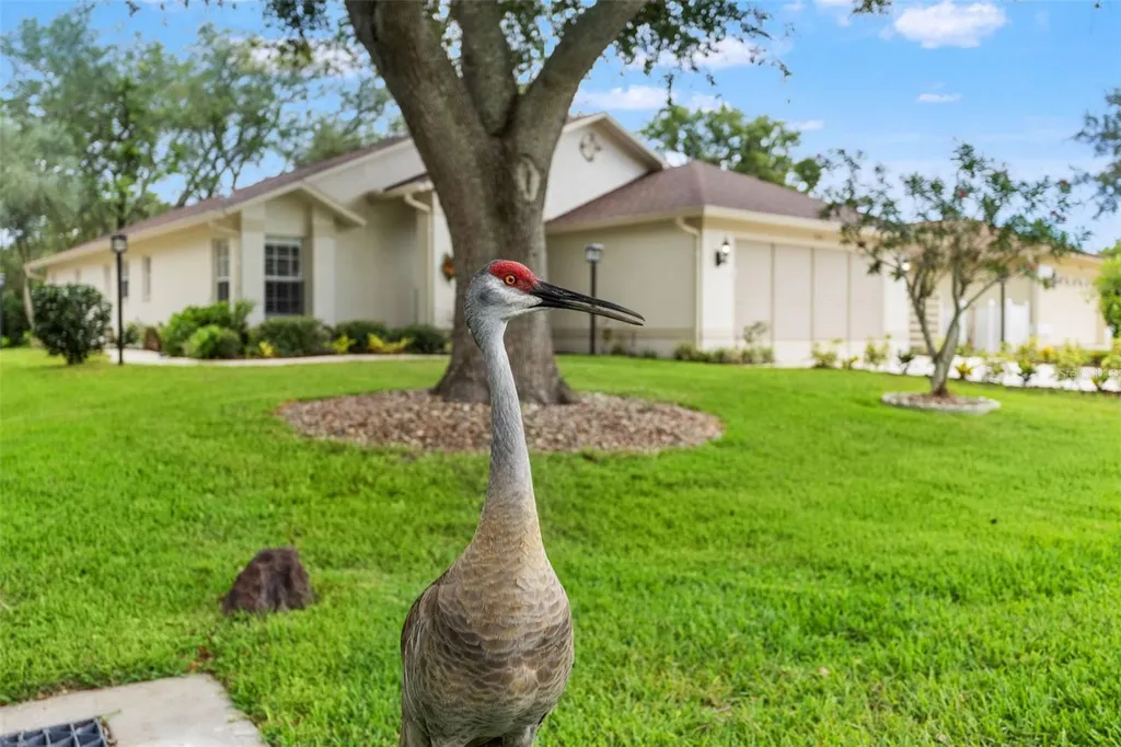 7350 Rosemont Lane Spring Hill FL 34606