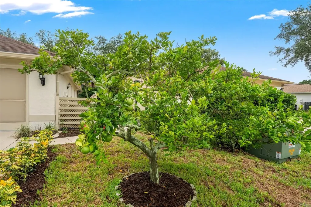 7350 Rosemont Lane Spring Hill FL 34606