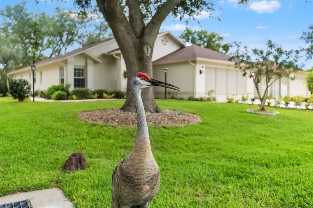 7350 Rosemont Lane Spring Hill FL 34606