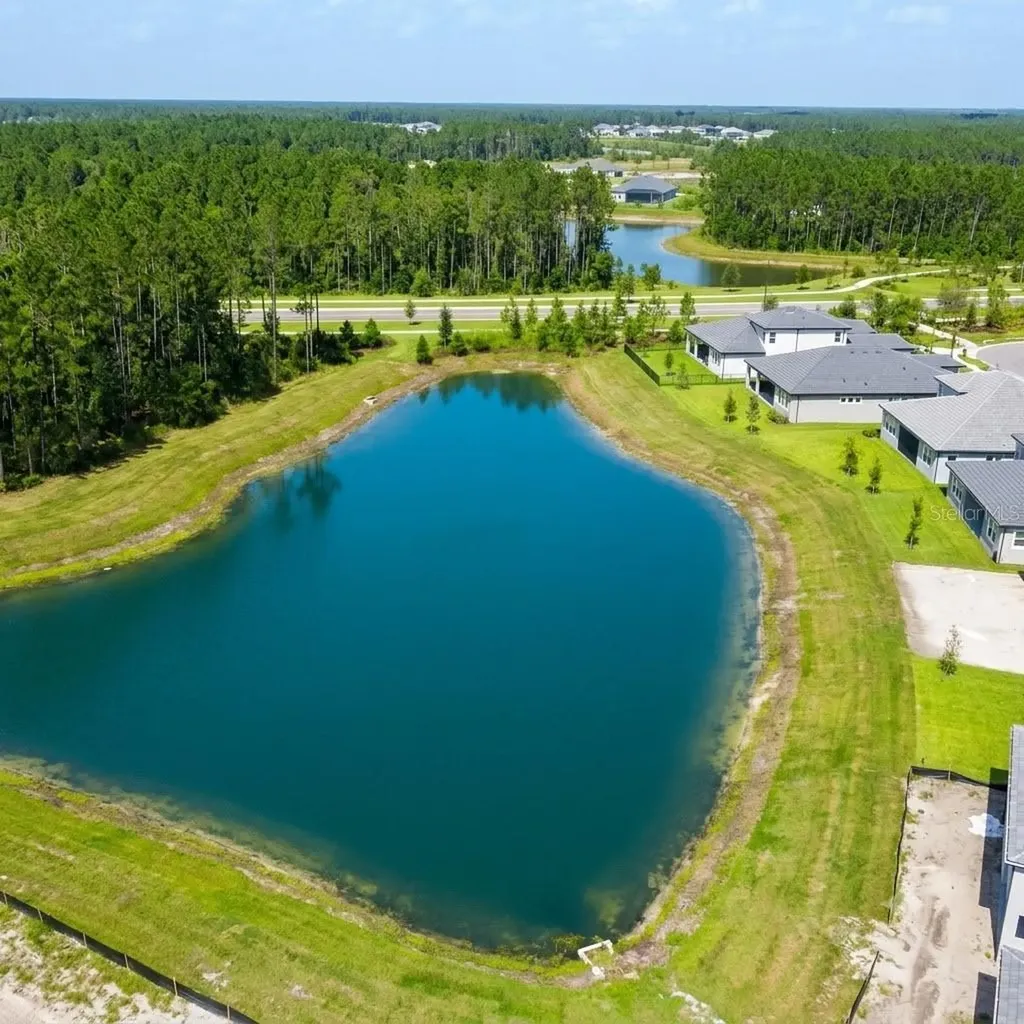 1952 Drummond Point Wesley Chapel FL 33543