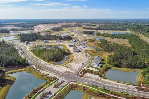 1952 Drummond Point Wesley Chapel FL 33543
