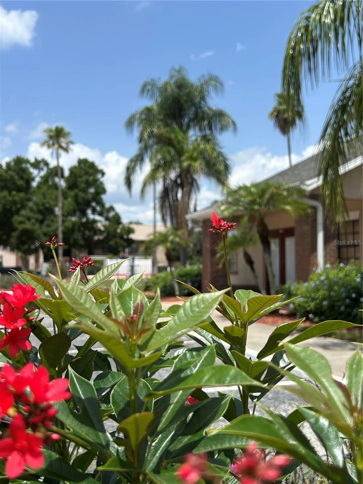 21027 Voyager Boulevard Land O Lakes FL 34638