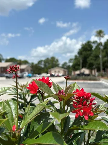 21027 Voyager Boulevard Land O Lakes FL 34638