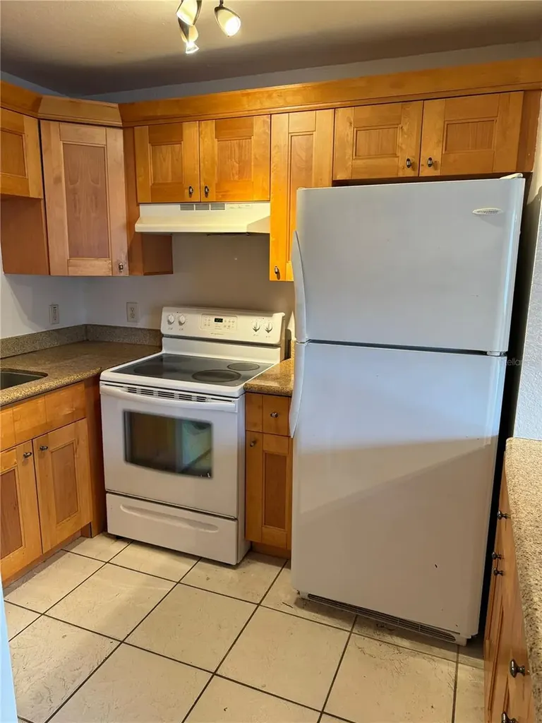 3914 W Neptune Street Tampa FL 33629