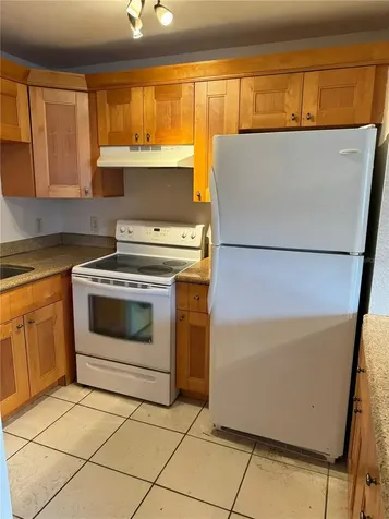 3914 W Neptune Street Tampa FL 33629
